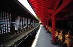 Shiny day at Kasuga-taisha, Nara