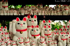Maneki neko, Gotokuji Temple version