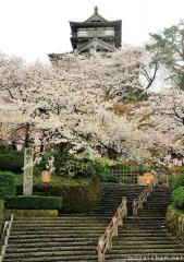 Japanese castle types, Hirayamajiro