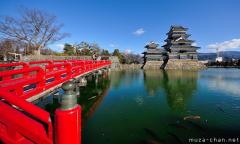 Japanese Castle types, Hirajiro