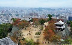 Matsuyama, flatland-mountain castle