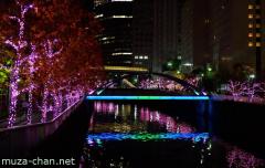 Meguro River Winter Illumination
