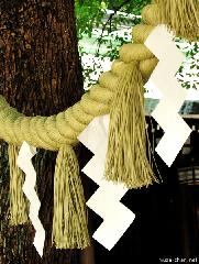 The Beauty of Shimenawa