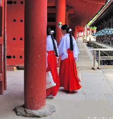 Miko from Kasuga Taisha