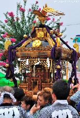 Japanese traditions - Mikoshi parade
