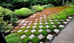 Modern Zen Garden