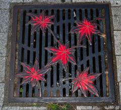 Takao Momiji Manhole Cover