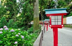 Mount Takao, hydrangea and red lanterns