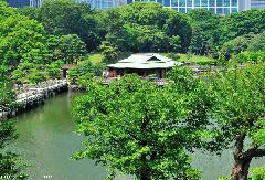 Tea House at Hama-rikyu Japanese Garden