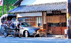 Only in Nara