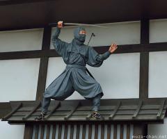 February 22nd, the Ninja Day