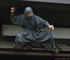 Defining images of Japan, Ninja