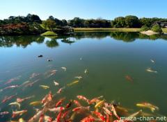 Koi pond in Okayama Koraku-en
