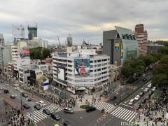 Omotesando Street