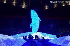 Osaka Aquarium Kaiyukan Christmas Lights