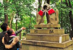 Japanese traditions, pair of kitsune at Fushimi Inari, Kyoto