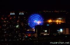 Palette Town Ferris wheel view from World Trade Center