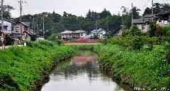 Washimiya Red Bridge