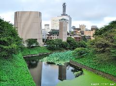 Ushigafuchi Moat