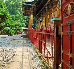 A little rest at Toshougu Shrine