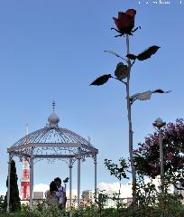 Roppongi Hills Giant Rose