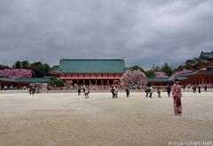 Blooming Sakura at Heian Shrine