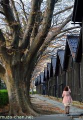 Sankyo Warehouses
