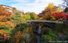 Saruhashi