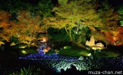 Kyoto Hogon-in autumn illumination