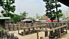 The 47 Ronin Graves