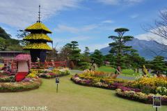 Sengan-en chrysanthemum festival