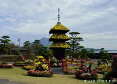 Sengan-en chrysanthemum festival