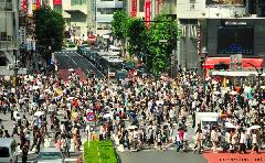 Shibuya Scramble Crossing Crowd