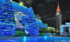 Tokyo Christmas Trees