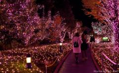 Winter illumination in Japan, Shinjuku Southern Terrace