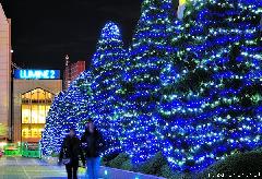 Shinjuku Southern Terrace Winter Illumination