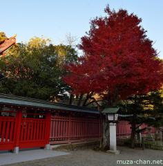Momijigari at Shiogama Jinja