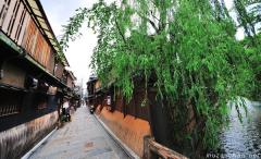 Kyoto Shirakawa Canal wide angle view