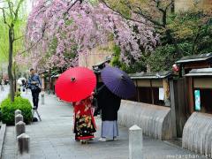 Hanami and traditional Japanese clothing