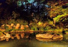 Kyoto Shoren-in Autumn Illumination