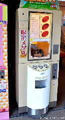 Souvenir Medal Coin Machine