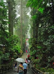 Stairs at Hakone Shrine