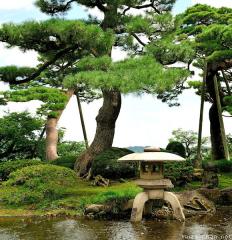 The 5 Elements of the Japanese Toro