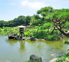 Japanese Garden Stone Lantern