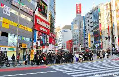 Remembering the Normality, Shibuya Street