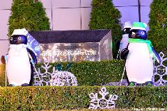 Suica Mascot and a Travel Tip