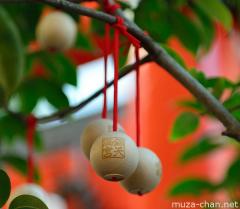 Tai-gan-ume