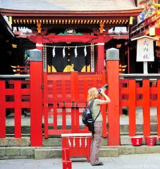 Japanese traditions, a... 244 years old man