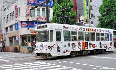A Streetcar Named... Tama the Cat