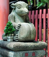 O-Tanuki Sama Jinja